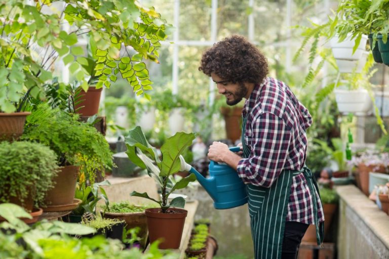 man in the greenhouse